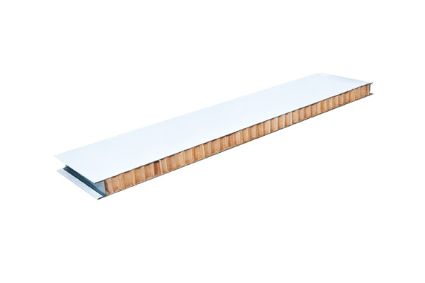 Paper-Honeycomb Sandwich Panel